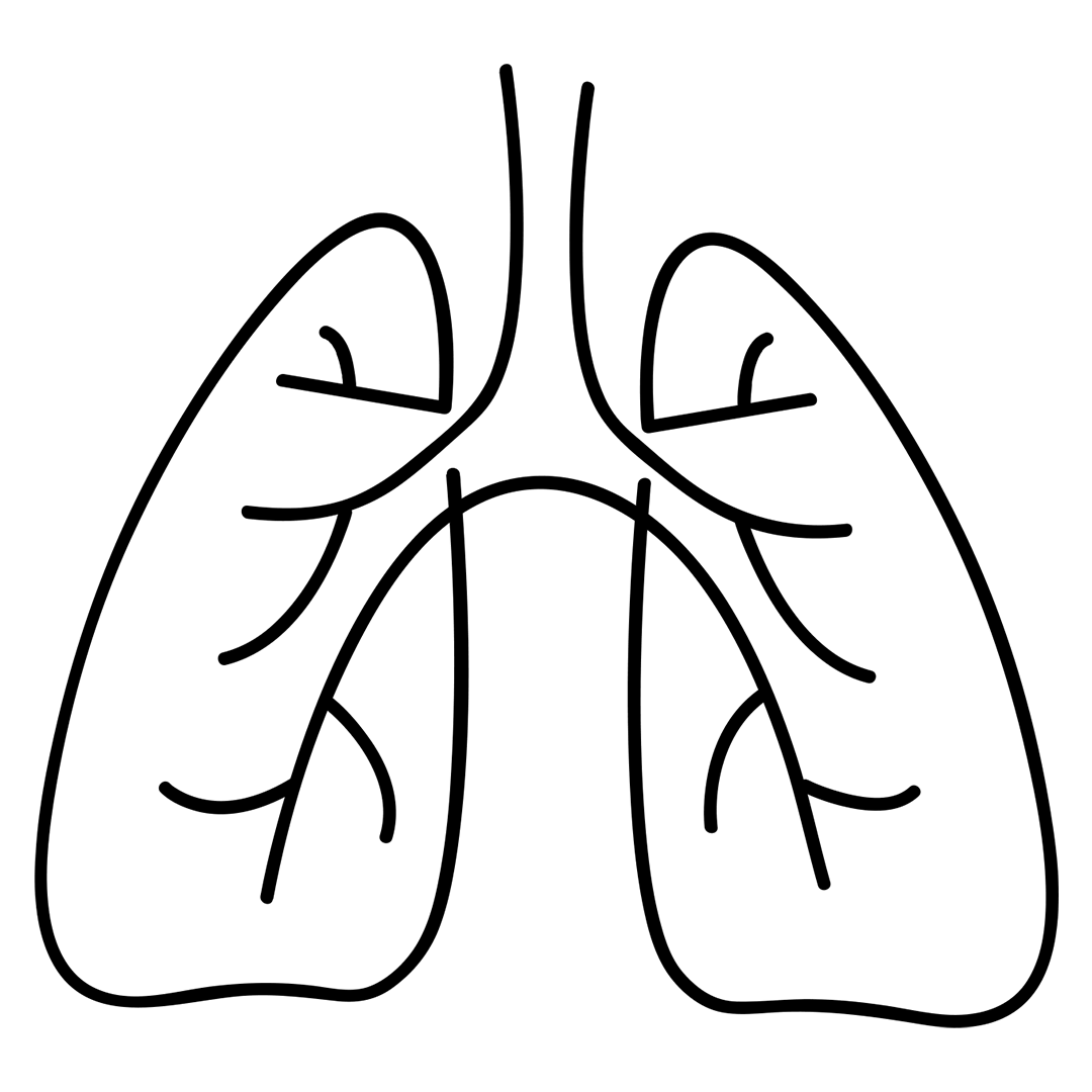 Polmoni