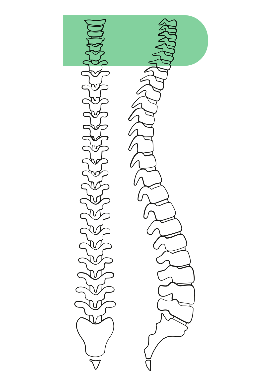 Spine - cervical area