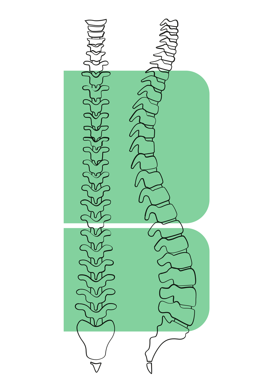 Spine - thoracic, lumbar area