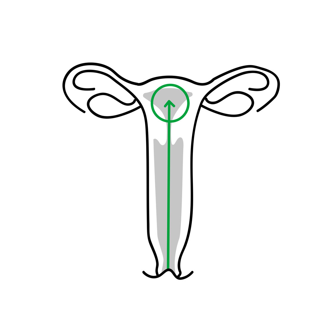 Uterus