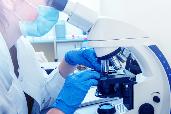 Biopsy analysis with microscope